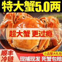 百亿补贴：今旺 鲜活大闸蟹特大螃蟹礼盒现货全公母8只礼盒装