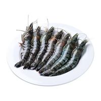 盖世 印度活冻黑虎虾 21-25规格 3斤