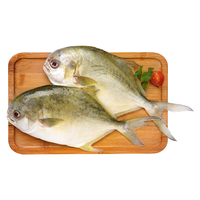 鱻谣新鲜原条金鲳鱼800g/2条 生鲜鱼类 海鲜水产 原条金鲳鱼 800g 单条约400g*2条