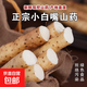 京喜加 新鲜河北正宗 小白嘴山药 500g 20cm-30cm/根