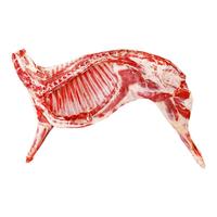 泾英牧羊人宁夏滩羊羊肉新鲜半只羊现杀全羊整只羔羊生鲜中秋年货礼盒清真 13斤整半只乳羔羊(断骨连肉)