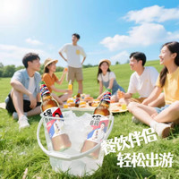 大窑嘉宾混合果汁汽水520ml*6 混合果汁 520ml*6