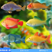 西克里海底生物塑料仿真海洋世界动物模型海龟玩具螃蟹龙虾章鱼鲨鱼套装 6款中号热带鱼套装 规格16cm左右