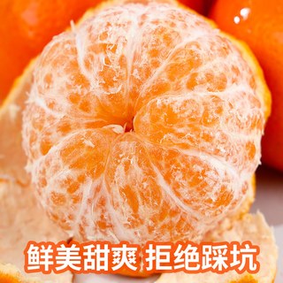  言片光 纯甜 蜜桔