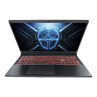 ThundeRobot 雷神 IGER S1 十一代酷睿版 14.0英寸 轻薄本 冰川蓝 (酷睿i5-11300H、核芯显卡、16GB、512GB SSD、1080P、IPS、60Hz)