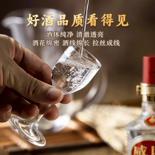  WULIANGYE/五粮液 礼盒年货 浓香型白酒  礼盒装