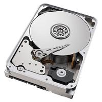 SEAGATE 希捷 酷鹰SkyHawk AI系列 3.5英寸监控级硬盘 14TB (256MB、7200rpm、PMR)ST14000VE0008