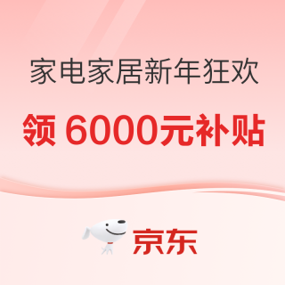 20点开始、促销活动：京东 家电家居新年狂欢全场立减15%，送到就安装！