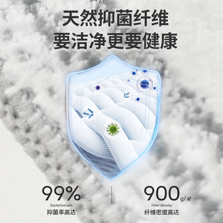 BEKAHOS/百家好世 不锈钢平板拖把套装 5布20套