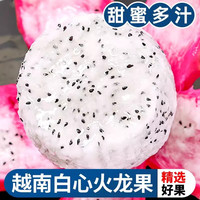 梦茜儿越南白心火龙果 大果新鲜当季水果热带白肉火龙果整箱应季 【礼盒装】5斤 白心火龙果