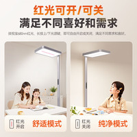 国家补贴：孩视宝 立式大路灯全光谱护眼学习阅读家用落地台灯 DY-100W-R 红光护眼