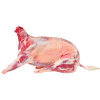 塔塔牧场宁夏盐滩羊肉 全羊整只30斤白山羊羯羊【按单现杀】源头直发