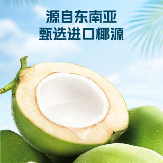 轻上 100%椰子水饮品东南亚进口青椰椰子椰子汁 椰子水220ml*12瓶