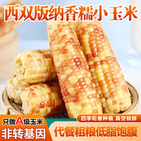 土地母亲计划 西双版纳 香糯甜玉米 净重3斤约6-9个