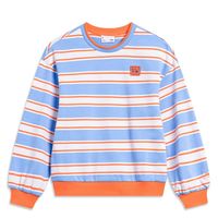 百亿补贴：李宁 运动潮流系列 女款卫衣 YWDT174