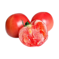 古寨山 山东普罗旺斯口感番茄净重单果90g+沙瓤西红柿源头直发 2.25斤拍2发4.5斤净重
