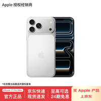 Apple iPhone 17 Pro Max 全网通5G手机  银色 256G
