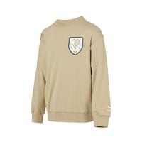 PUMA 运动日常休闲 男子卫衣