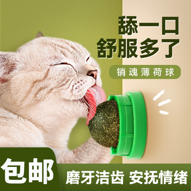 皇恒赛级 猫薄荷球猫玩具自嗨解闷清洁磨牙棒逗猫神器耐咬猫咪用品
