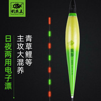 钓鱼王钓鱼浮漂日夜两用电子漂高灵敏夜光漂鱼漂 疯影电子漂D05-1#