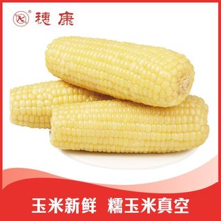 玉米新鲜糯玉米甜糯玉米棒穗康真空非转基因白糯粘玉米整箱