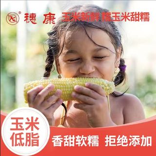 玉米新鲜糯玉米甜糯玉米棒穗康真空非转基因白糯粘玉米整箱