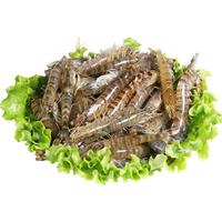 京鲜生【活鲜】鲜活基围虾 活鲜海鲜 基围虾300g装