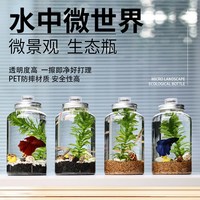 创意水族箱微景观生态瓶造景斗鱼缸办公桌面生态缸造景鱼缸
