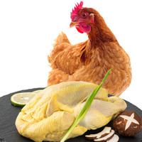 青草家童子鸡三黄鸡标准喂养散养走地鸡净膛生鲜冷冻鸡肉 650g3只装 童子鸡650g*3