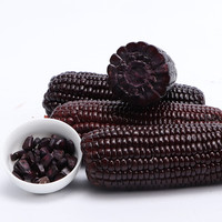 移动端、京东百亿补贴：果园汇 香甜软糯黑玉米棒 净重10根装