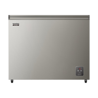 容声 风冷无霜 冰柜  灰色 240L