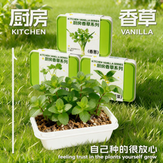 小花农 儿童蔬菜植物生长观察实验套装玩具