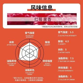 COSTA 拉美秘鲁咖啡豆 200g 袋装