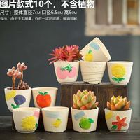 OLOEY 多肉花盆粗陶透气大陶瓷 10个