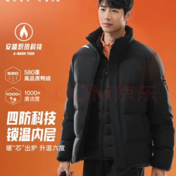 安踏 综训系列 男子运动羽绒服 952247912-4