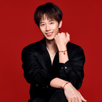 潘多拉（PANDORA）鸿金手链 563816C01-16