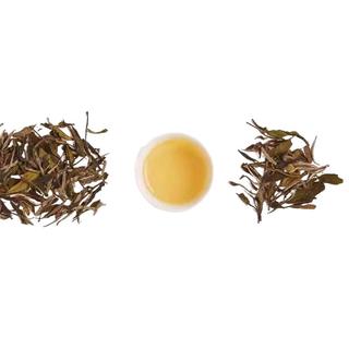 福鼎特级白毫银针福鼎白茶老白茶毫香白毫银针茶叶罐装可50g