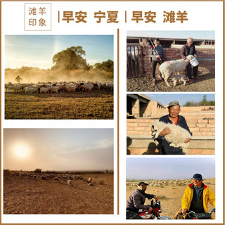 宁滩鲜 宁夏盐池羊肉 3只起订 滩羊20斤左右整只滩羊羔 清真屠宰