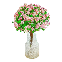  沭之美 源头直发 金枝玉叶多肉+15小极冻透明玻璃瓶+水培珠