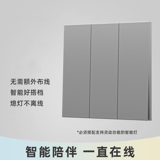 USP国际电工可复位开关面板灵动开关复位回弹开关智能四开灵动关灯不离线  三开单控 带灵动