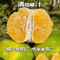 【阿婶】礼盒 爆汁翡翠香水柚当季新鲜西柚水果青柚4.5斤