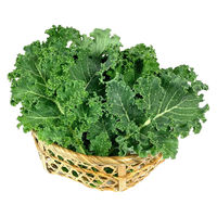 京鲜生 云南羽衣甘蓝 2斤