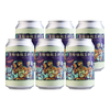  明日酿造 双倍浑浊IPA 国产精酿啤酒