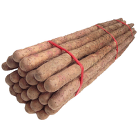 亨泰丰源 铁棍山药 40-50cm 2.5kg