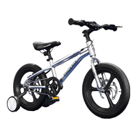 PHOENIX 儿童自行车儿童山地车小孩单车带辅助轮3-6-10-12岁小中大童 乌梅紫丨单速辐条轮+双碟刹+礼包 16寸