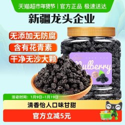 新边界 桑葚干 400g