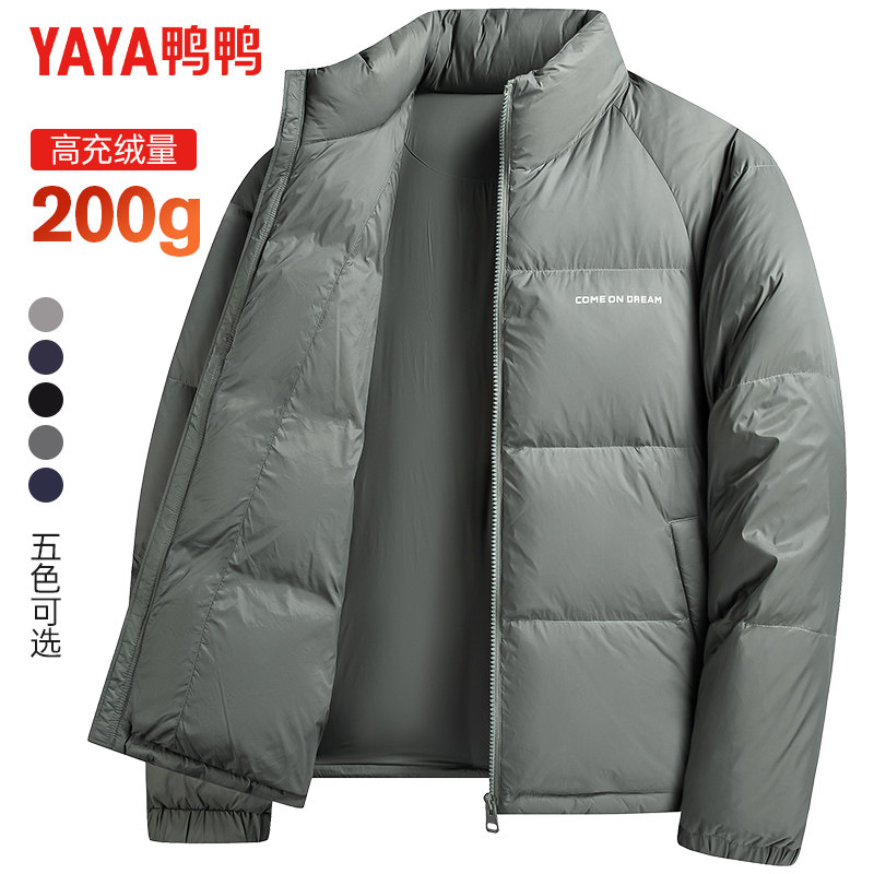 23806绿色