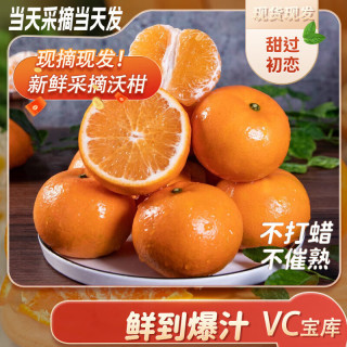 京喜加 正宗广西沃柑新鲜水果 中果2斤单果60mm+