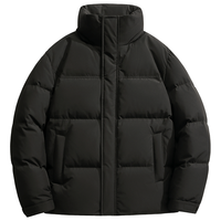 雪中飞 【加厚羽绒服】羽绒服冬季2025休闲短款立领羽绒服男款