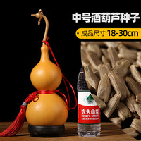 肉总管小葫芦籽手捻文玩八宝观赏盆栽稀有大葫芦种子大全种苗秧葫芦籽种 蓝色中号酒葫芦50粒